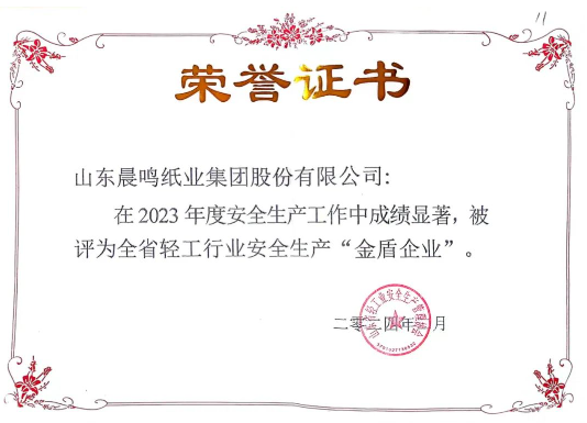 晨鸣集团获评全省轻工行业安全生产“金盾企业”