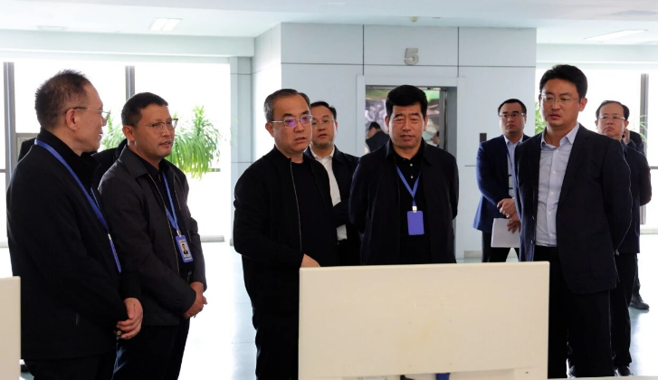 李鹏调研晨鸣集团复工复产工作